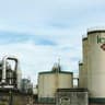 Portrait of Neha Kapoor